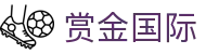 赏金国际